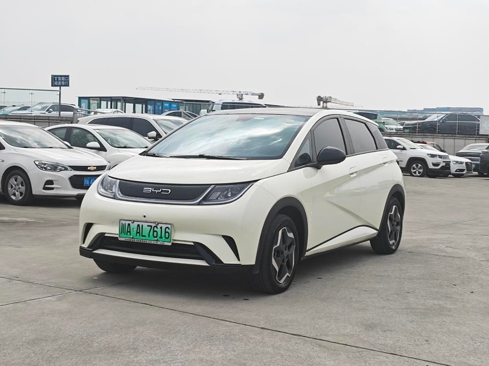 BYD Dolphin 2021 — фото автомобиля 1