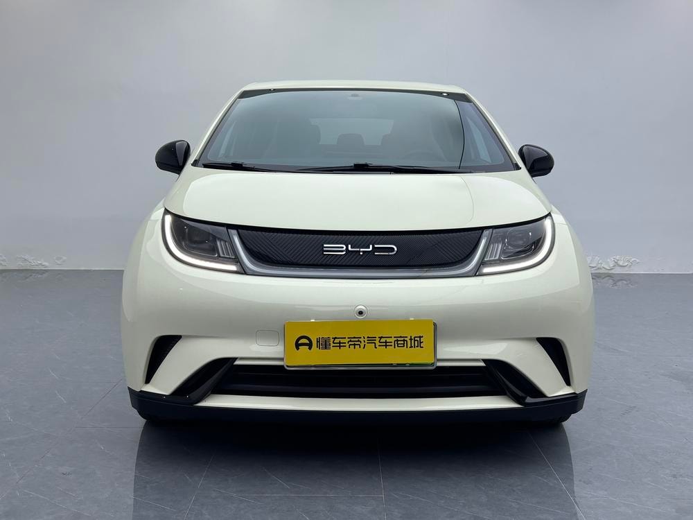 BYD Dolphin 2021 — фото автомобиля
