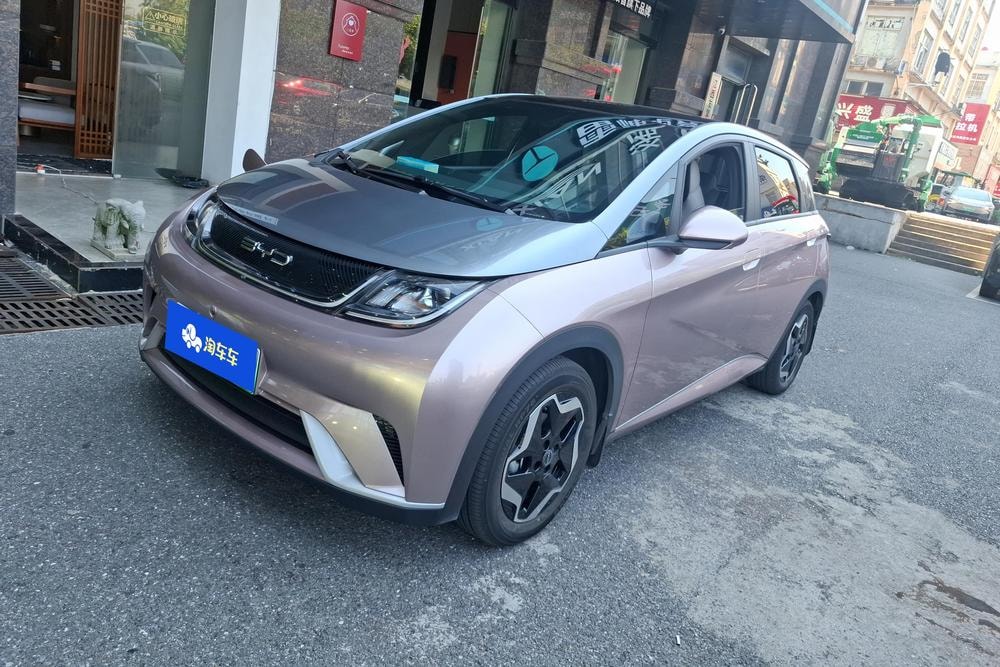 BYD Dolphin 2021 — фото автомобиля