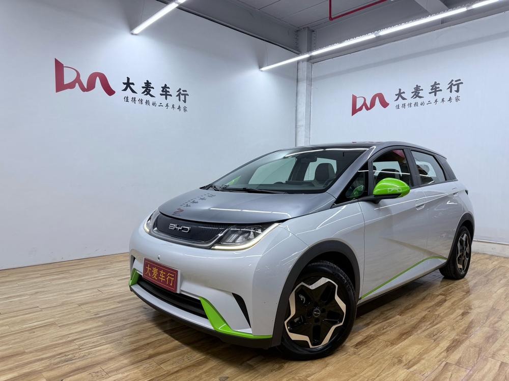 BYD Dolphin 2021 — фото автомобиля 1