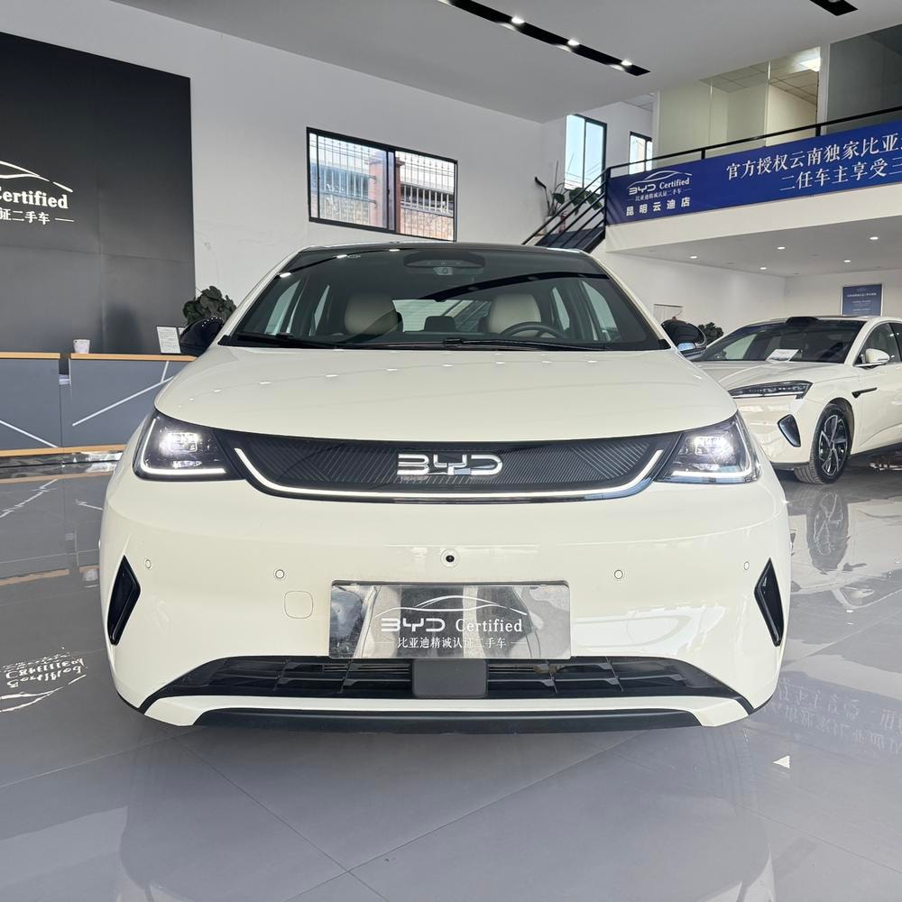 BYD Dolphin 2025 — фото автомобиля 1