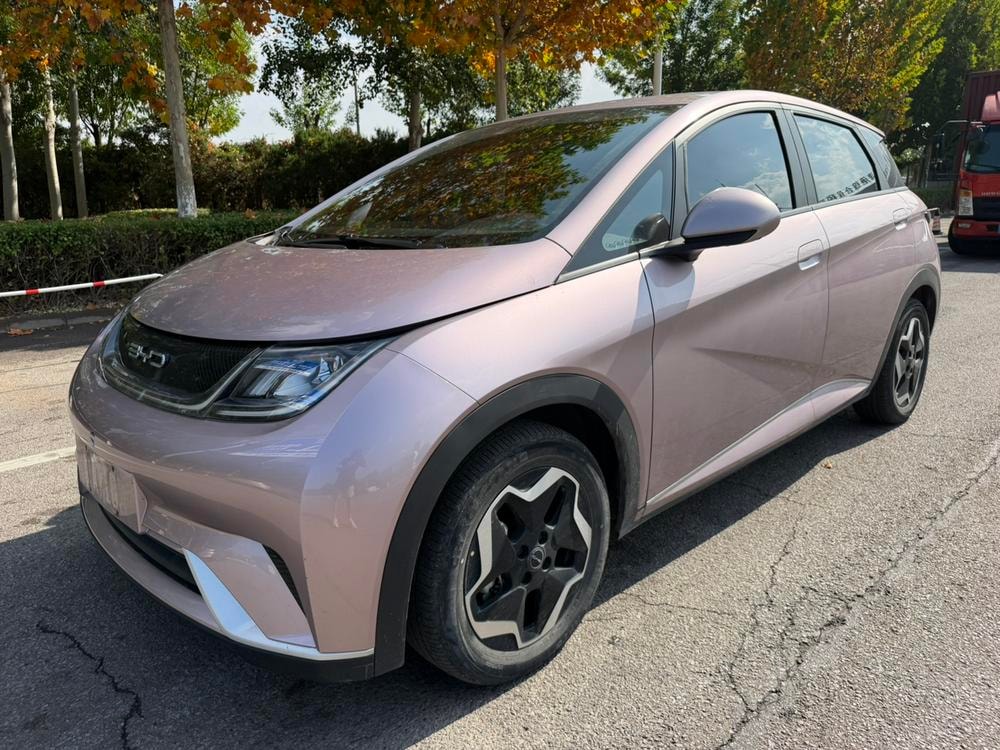 BYD Dolphin 2021 — фото автомобиля 1