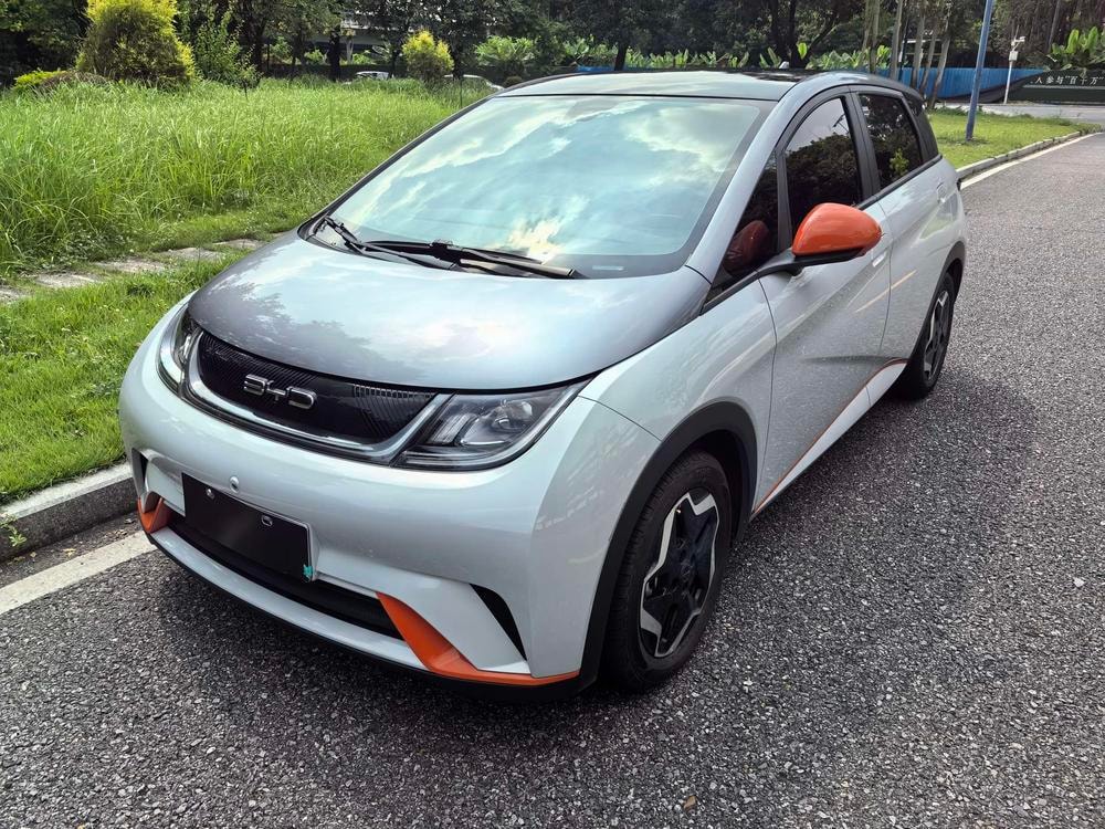 BYD Dolphin 2021 — фото автомобиля