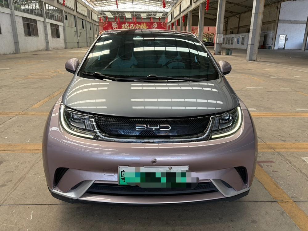 BYD Dolphin 2021 — фото автомобиля