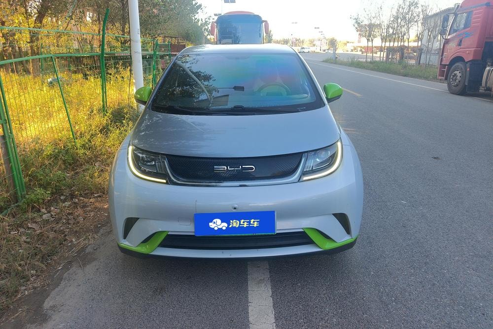 BYD Dolphin 2021 — фото автомобиля