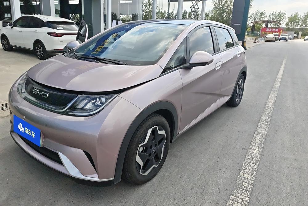 BYD Dolphin 2021 — фото автомобиля