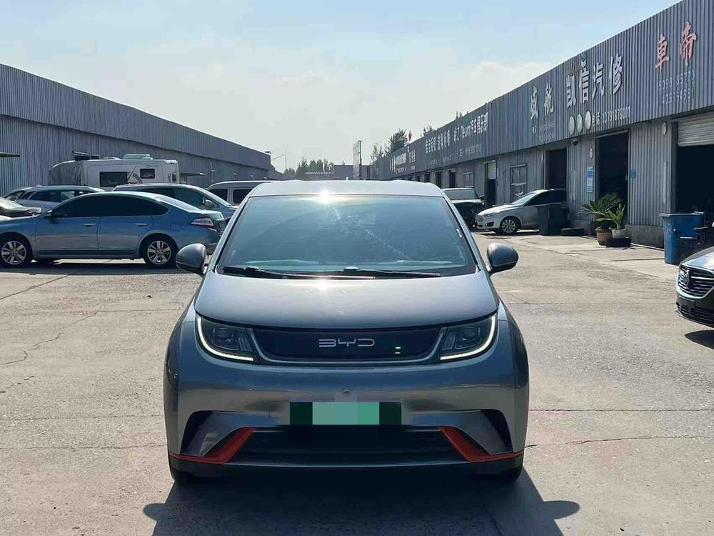 BYD Dolphin 2021 — фото автомобиля