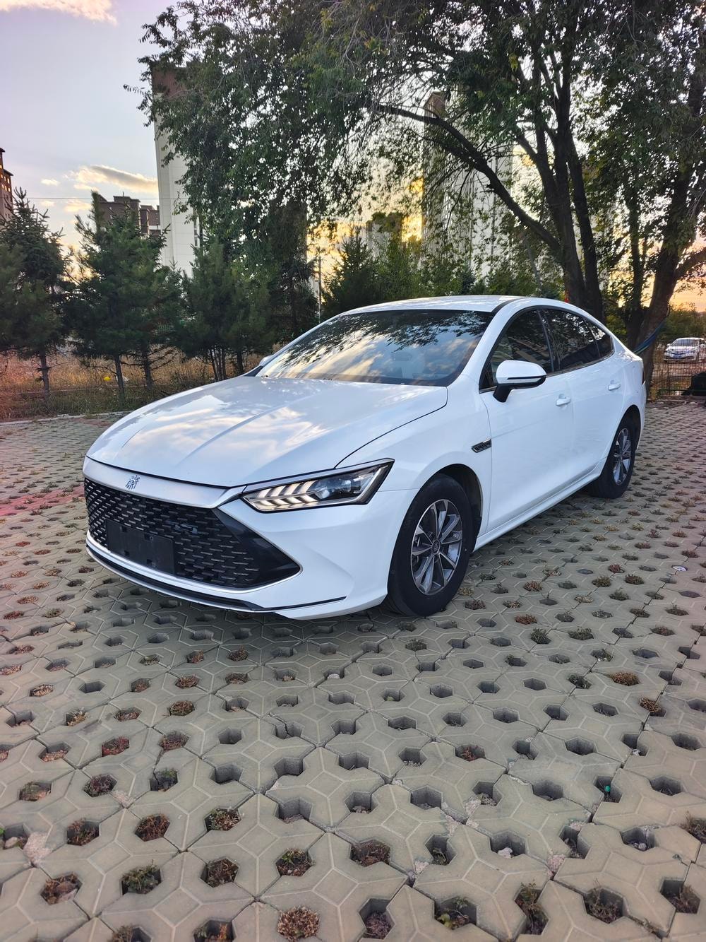 BYD Qin PLUS DM 2024 — фото автомобиля