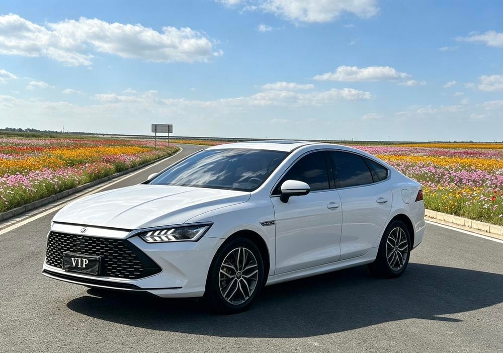 BYD Qin PLUS DM 2021 — фото автомобиля