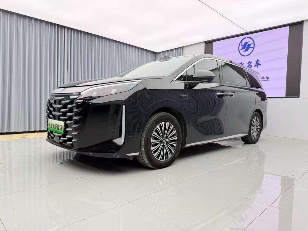 BYD Xia 2026 — фото автомобиля