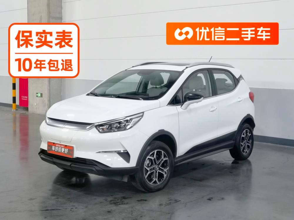 BYD Yuan Pro 2021 — фото автомобиля 1