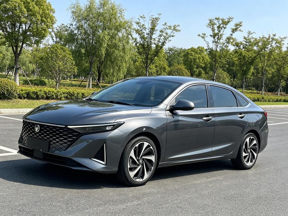 Changan Ruicheng PLUS 2023 — фото автомобиля