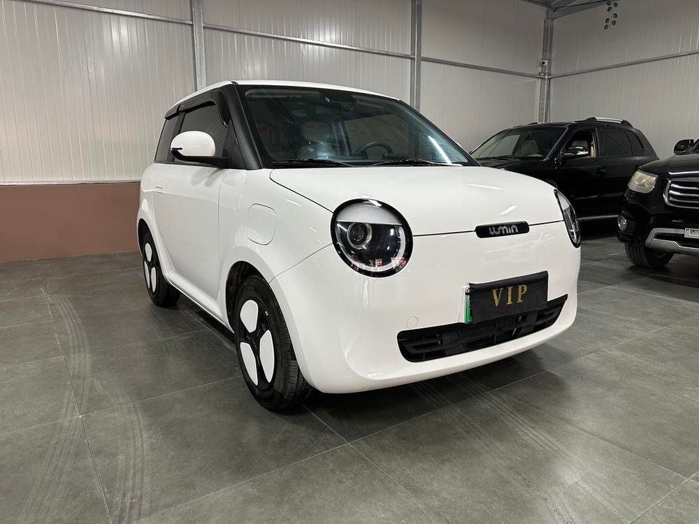 Changan Qiyuan Changan Lumin 2024 — фото автомобиля