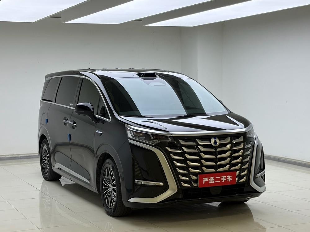 Denza D9 DM 2025 — фото автомобиля