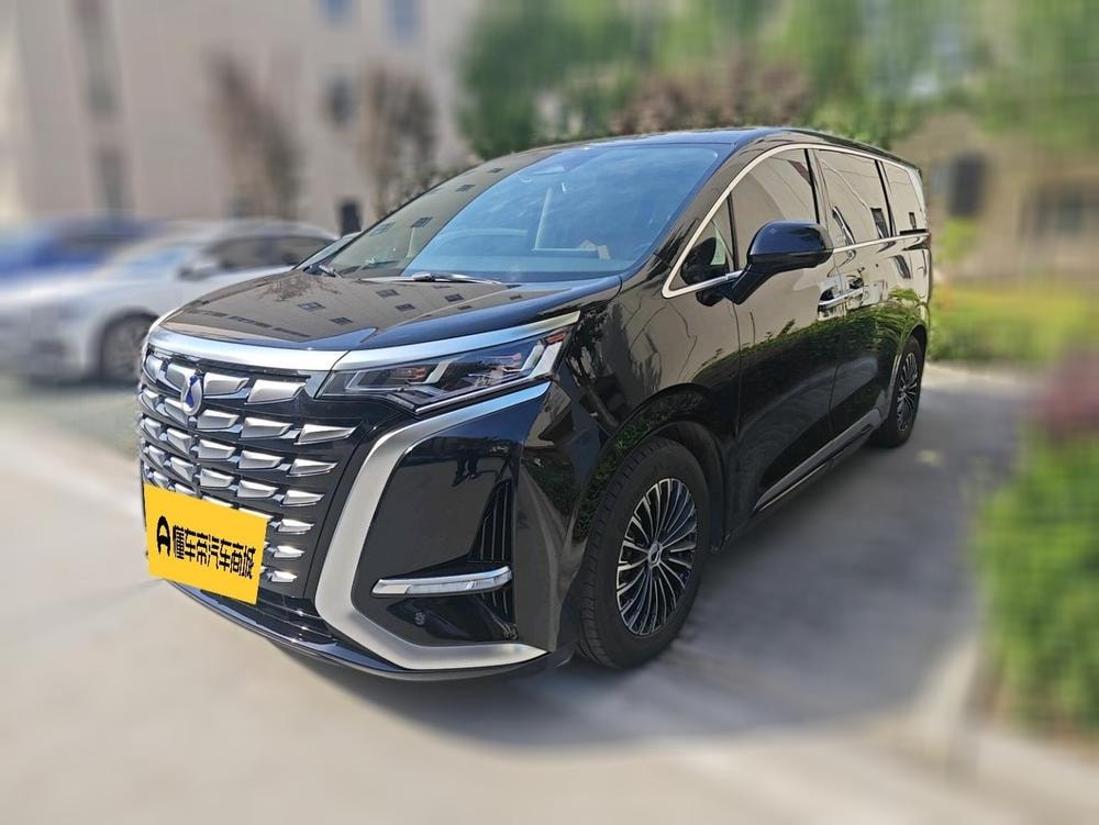 Denza D9 DM 2024 — фото автомобиля