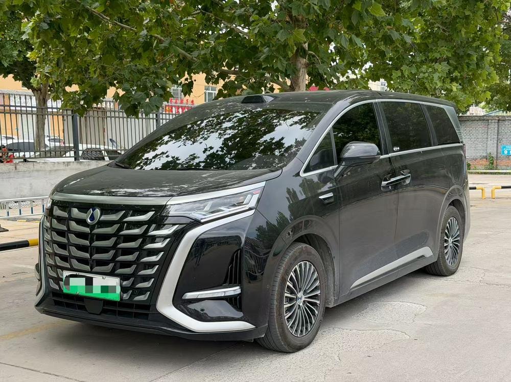 Denza D9 DM 2025 — фото автомобиля 1