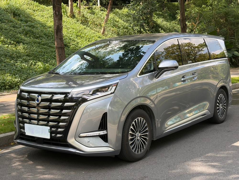 Denza D9 DM 2022 — фото автомобиля 1