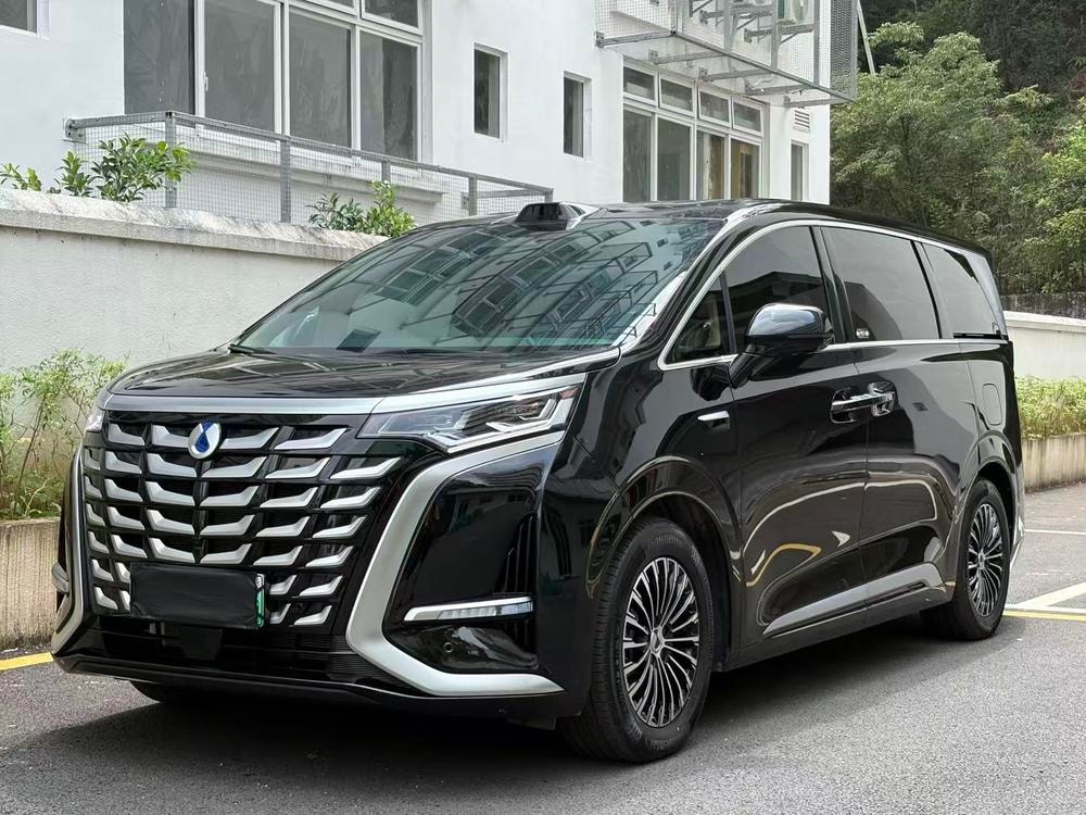 Denza D9 DM 2025 — фото автомобиля 1