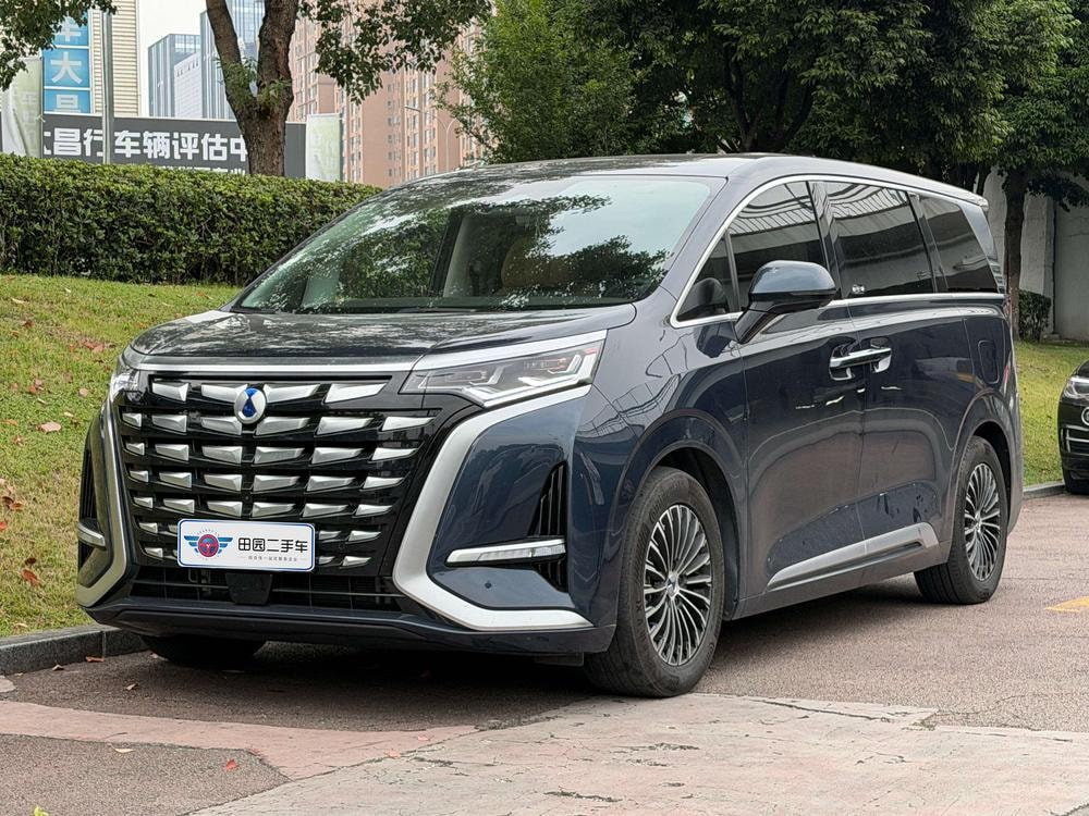 Denza D9 DM 2024 — фото автомобиля 1