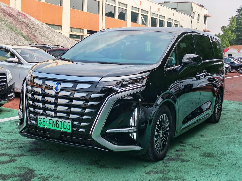 Denza D9 DM 2022 — фото автомобиля 1