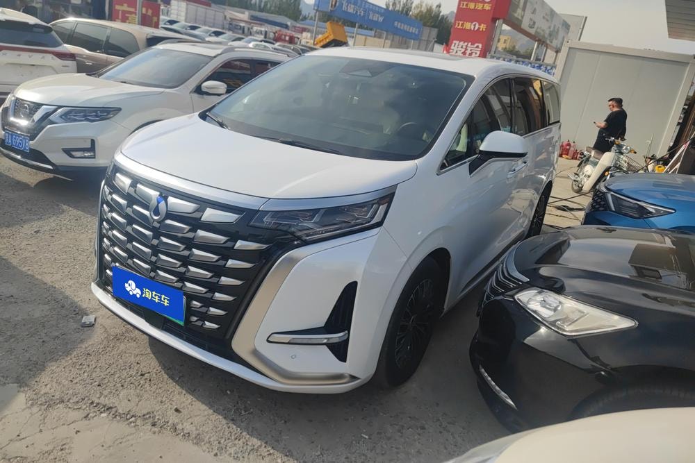 Denza D9 DM 2024 — фото автомобиля 1