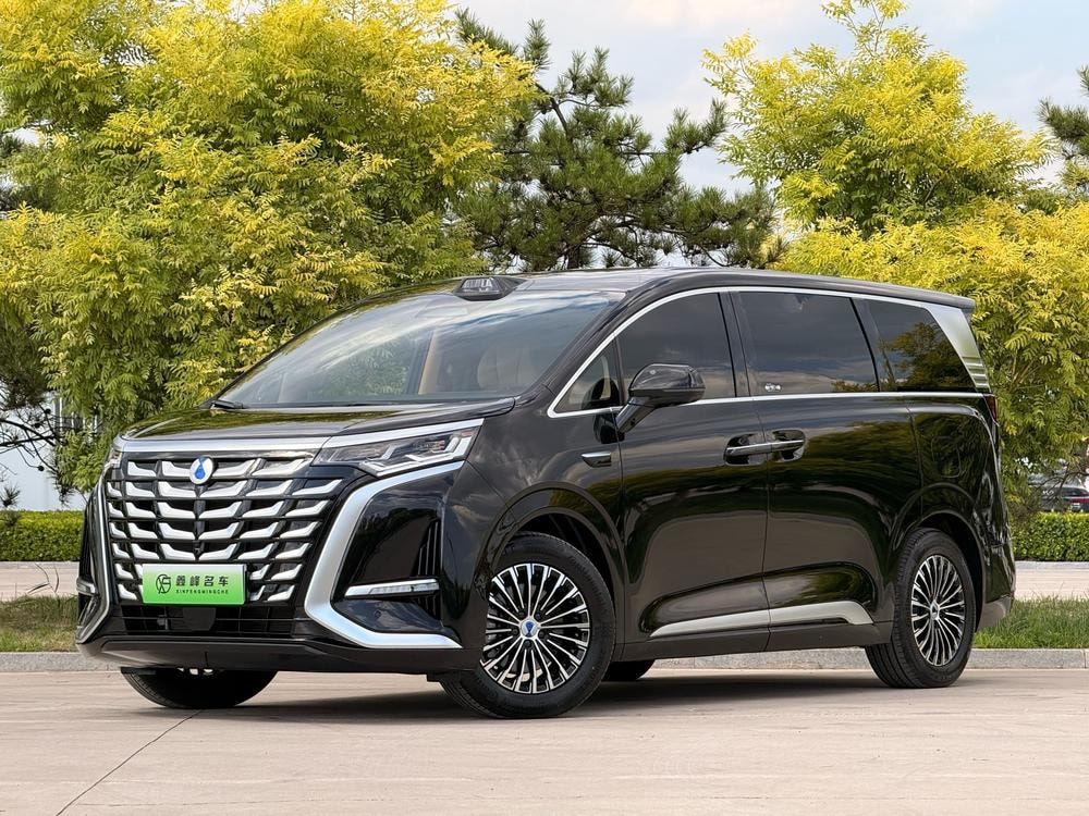 Denza D9 DM 2025 — фото автомобиля