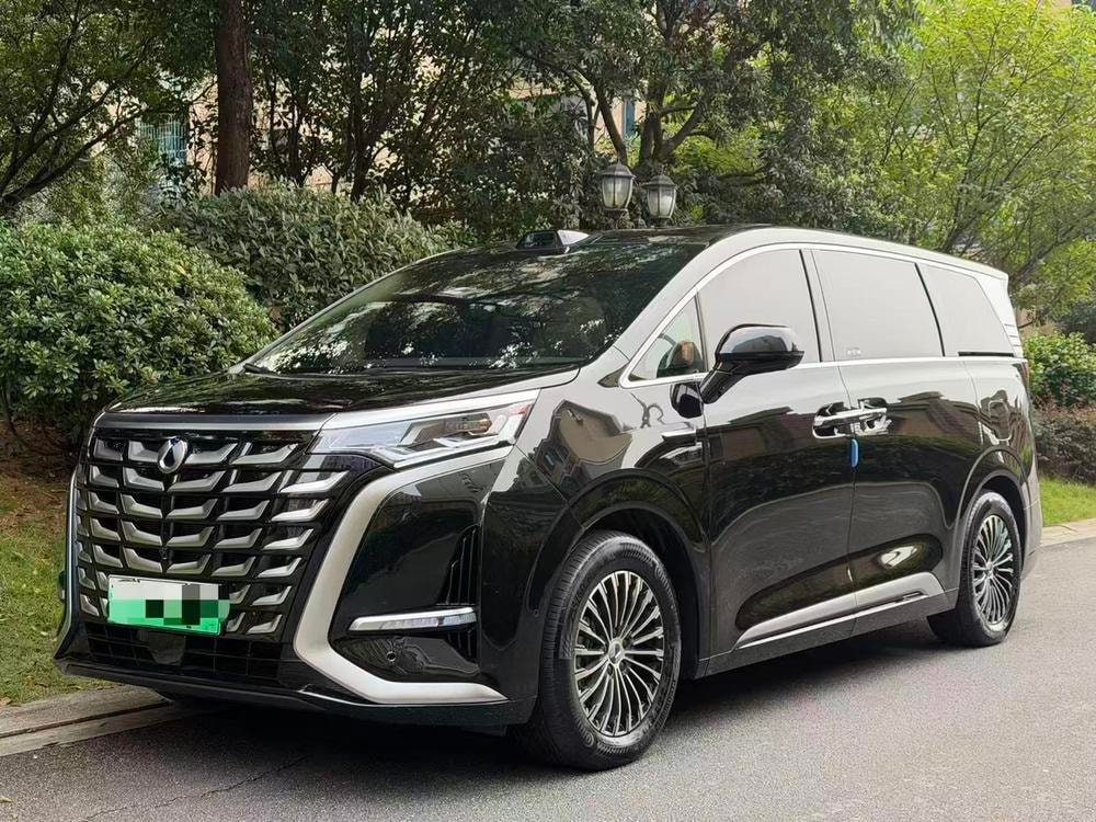 Denza D9 DM 2025 — фото автомобиля
