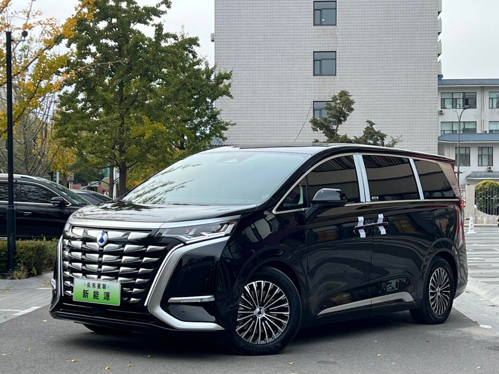 Denza D9 DM 2024 — фото автомобиля 1