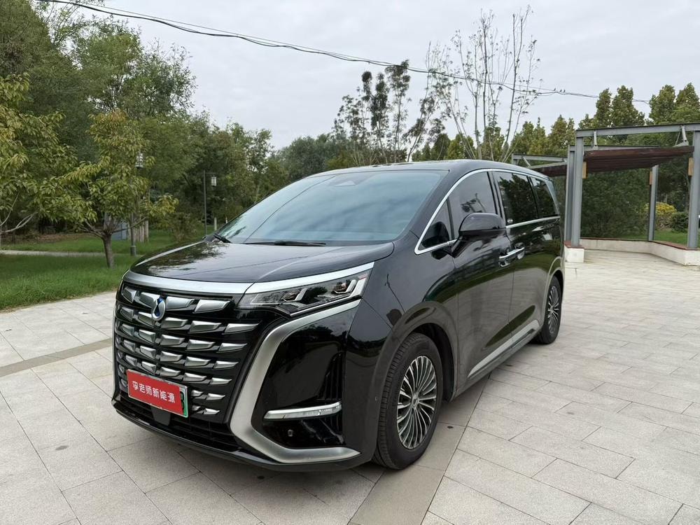 Denza D9 DM 2022 — фото автомобиля