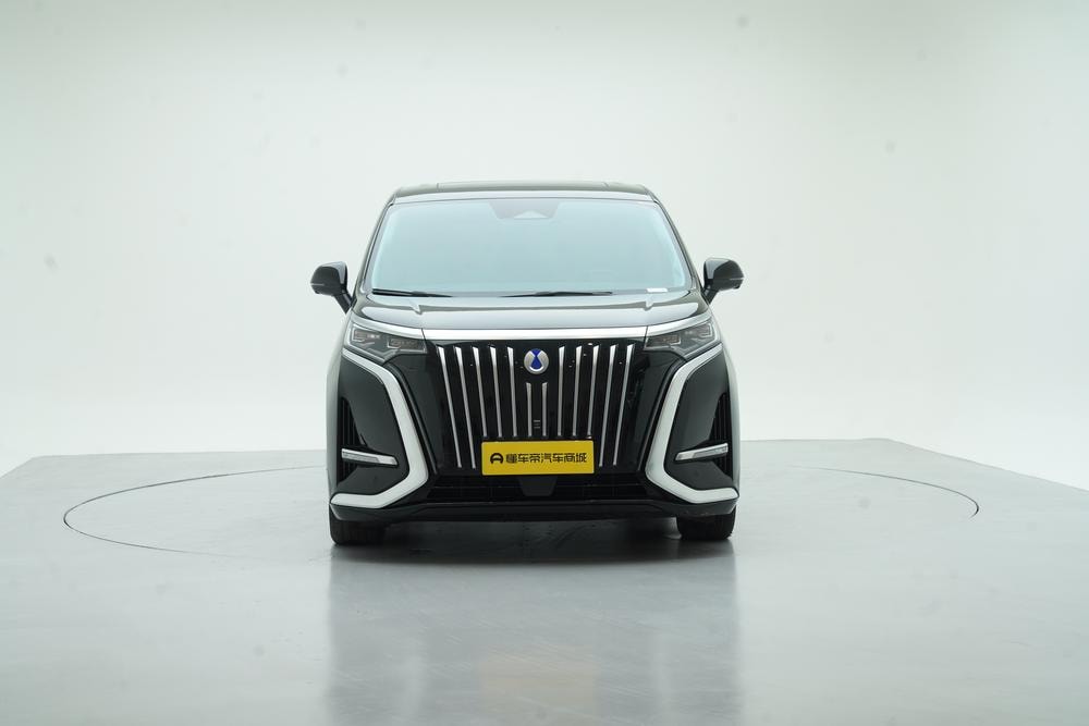 Denza D9 EV 2024 — фото автомобиля 1