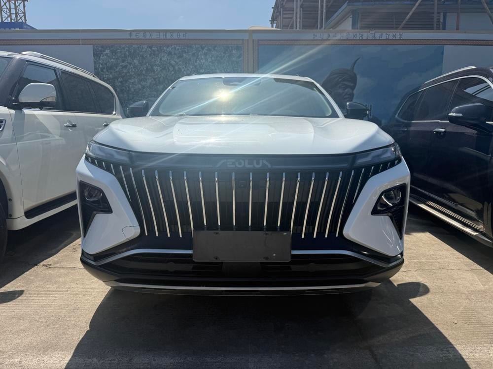 Dongfeng Fengshen Haoji 2022 — фото автомобиля