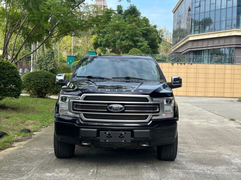 Ford F-150 2019 — фото автомобиля 1