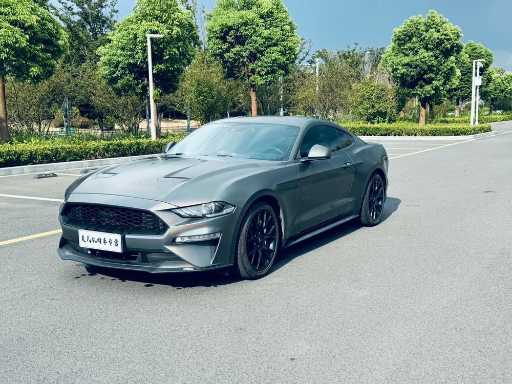 Ford Mustang 2019 — фото автомобиля