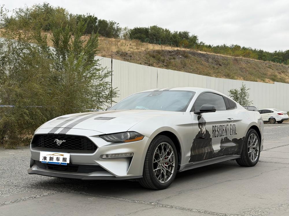 Ford Mustang 2019 — фото автомобиля 1