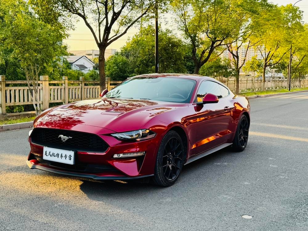 Ford Mustang 2019 — фото автомобиля 1
