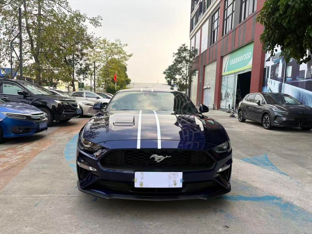 Ford Mustang 2019 — фото автомобиля 1