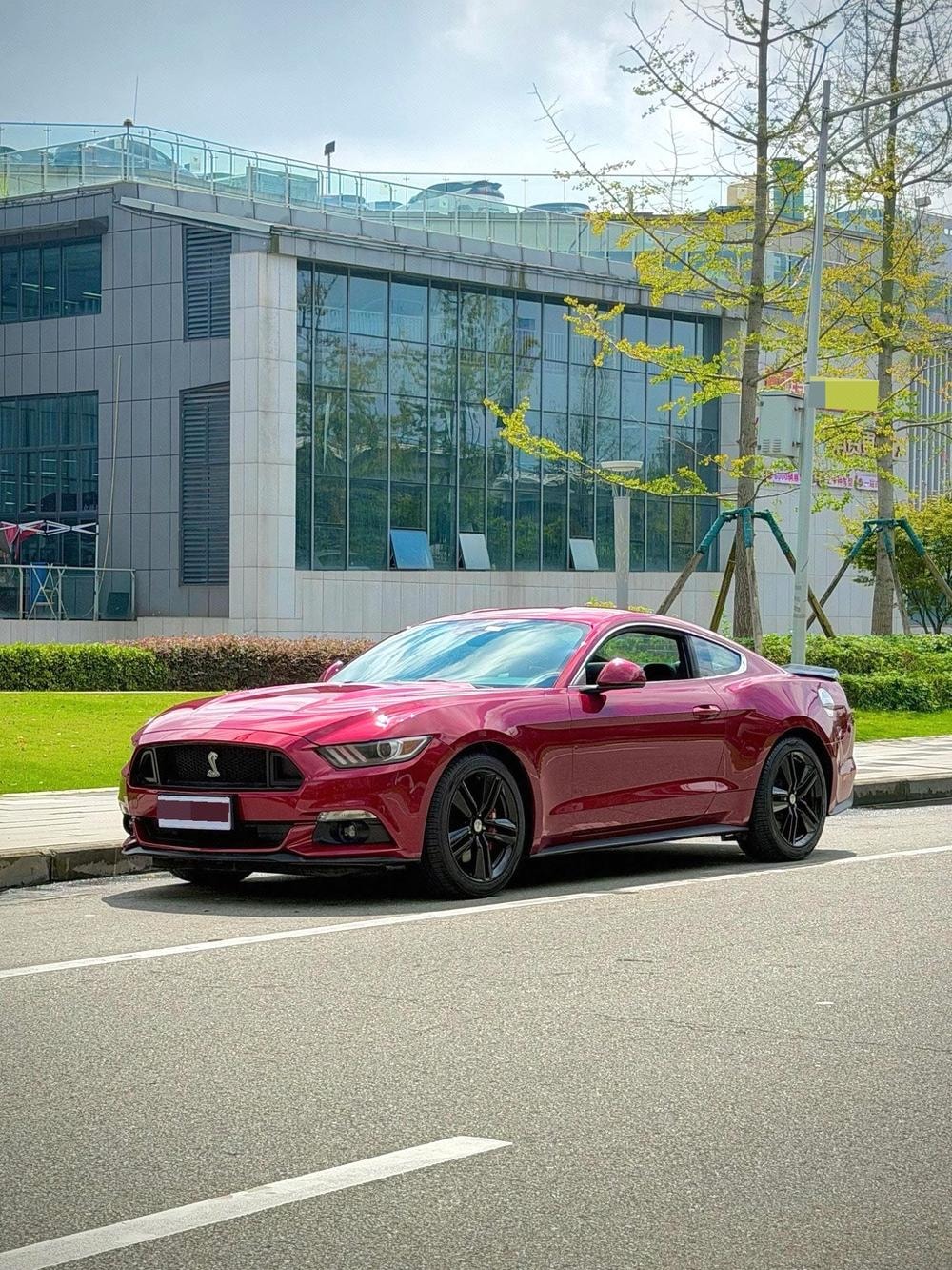 Ford Mustang 2017 — фото автомобиля 1