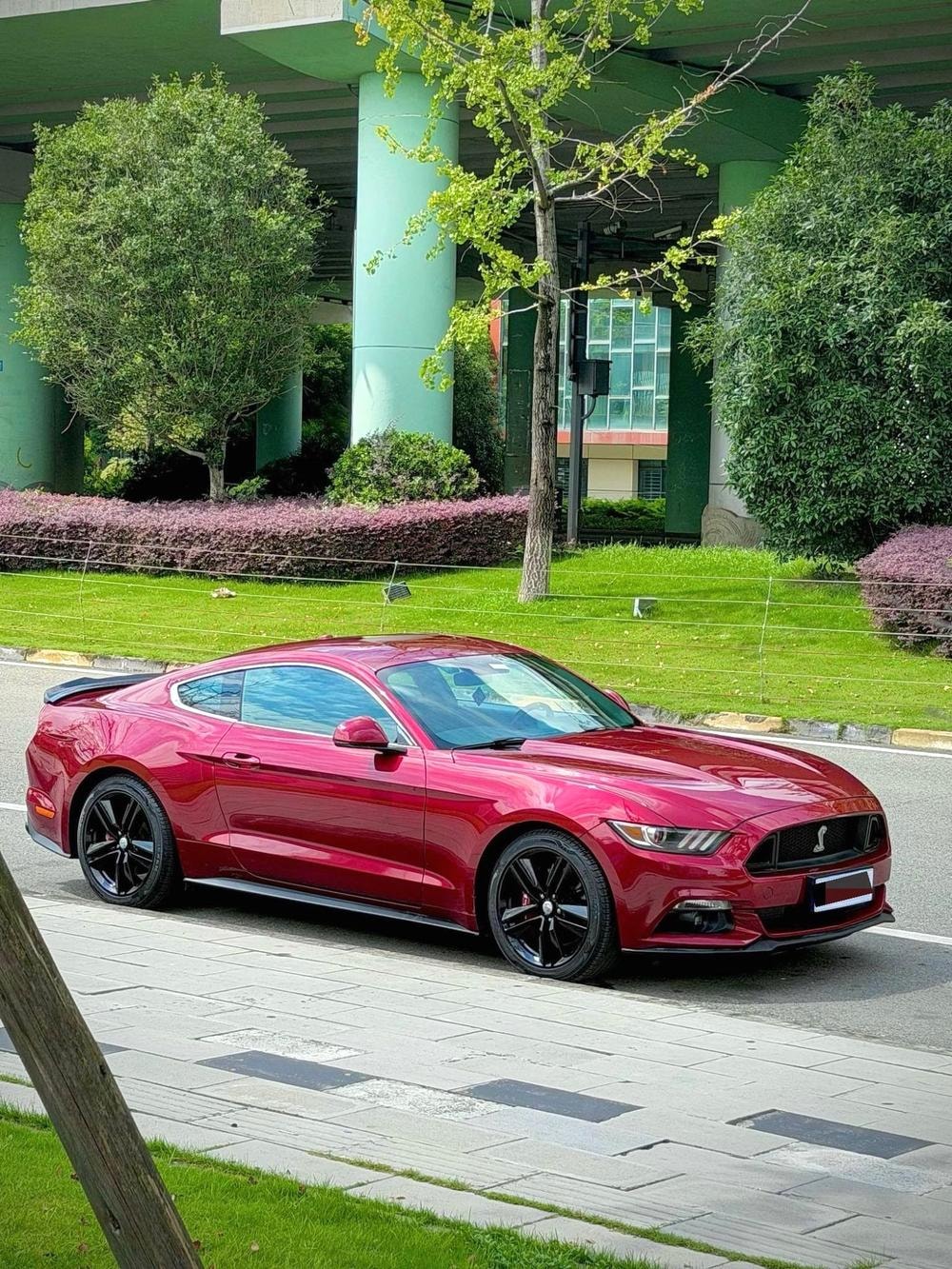 Ford Mustang 2017 — фото автомобиля