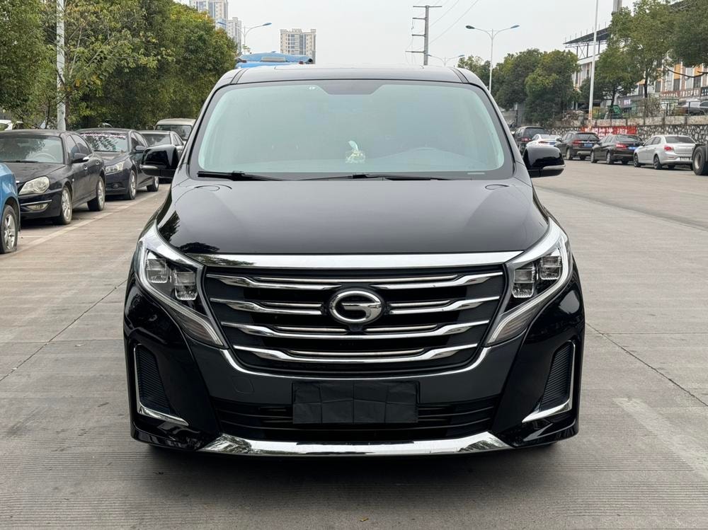 GAC Trumpchi Trumpchi M8 2020 — фото автомобиля 1