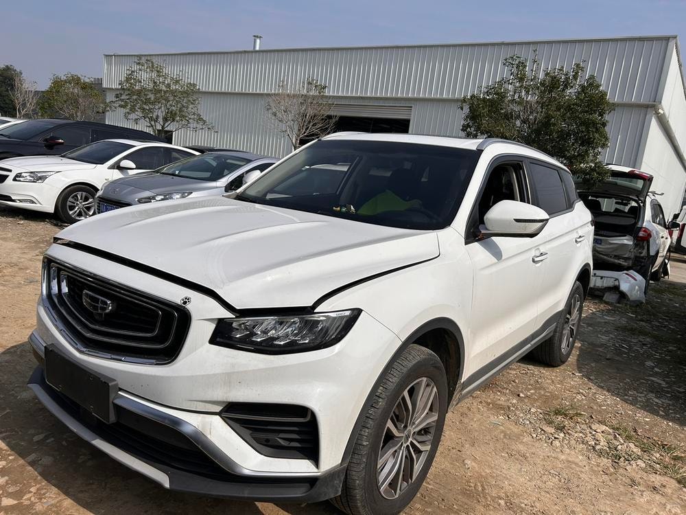 Geely Boyue 2020 — фото автомобиля