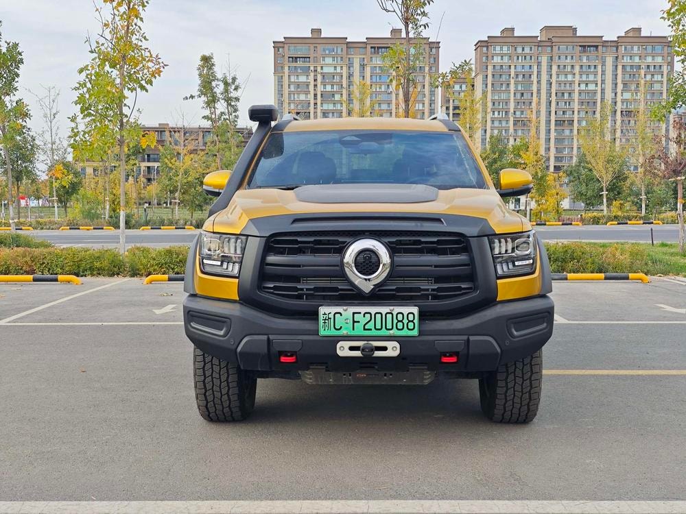Great Wall Shanhai Pao Hi4-T 2025 — фото автомобиля 1