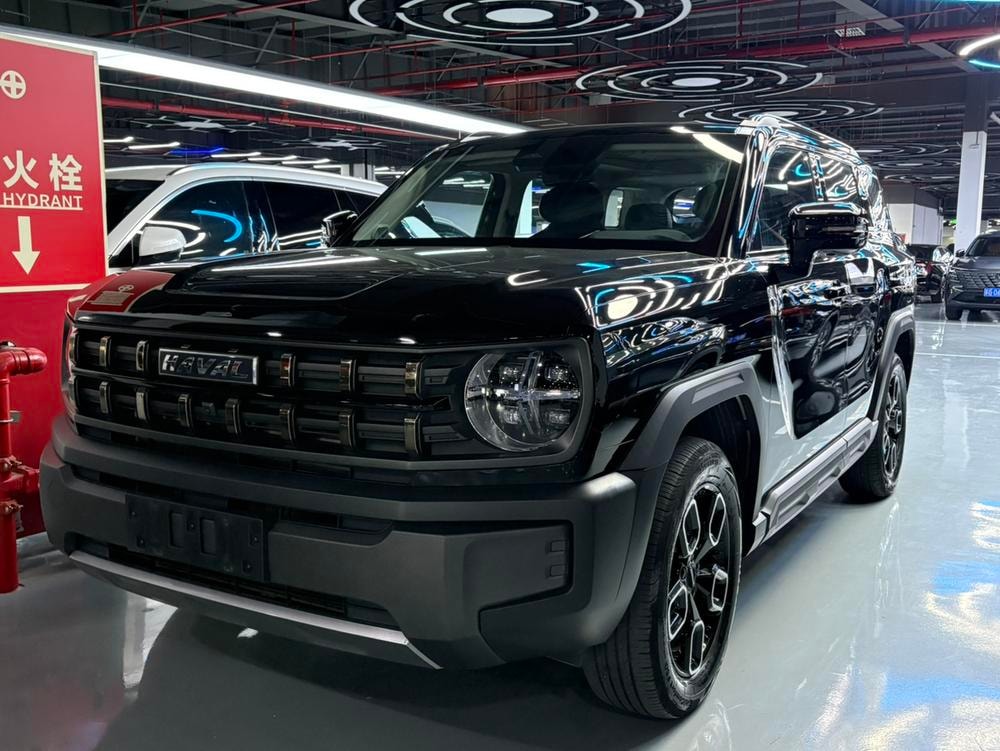 Haval Cool Dog 2022 — фото автомобиля 1