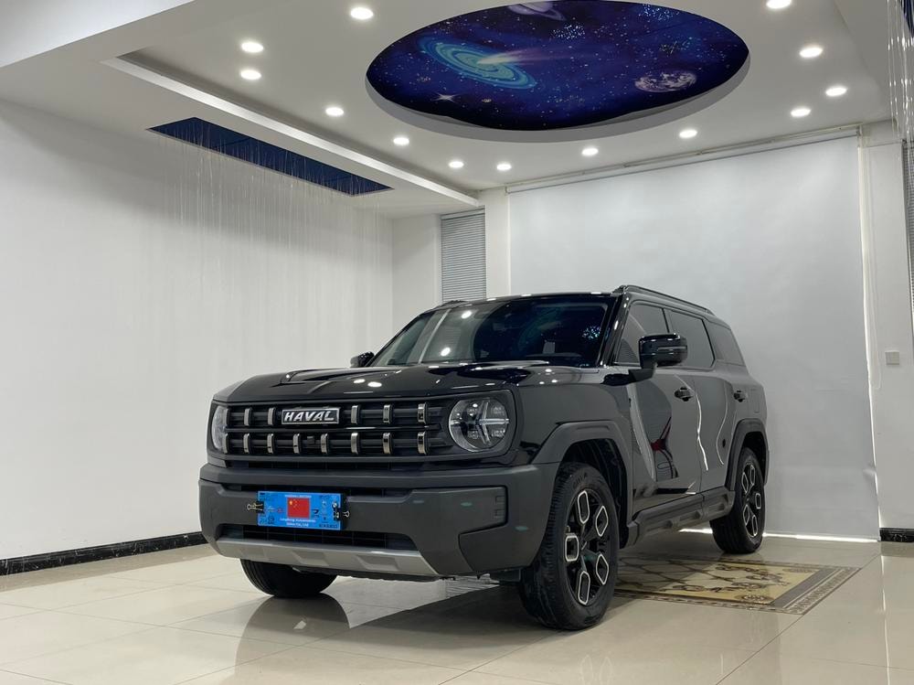 Haval Cool Dog 2022 — фото автомобиля