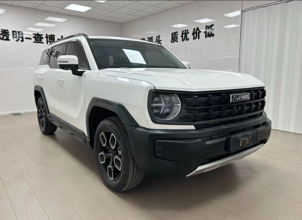 Haval Cool Dog 2022 — фото автомобиля 1