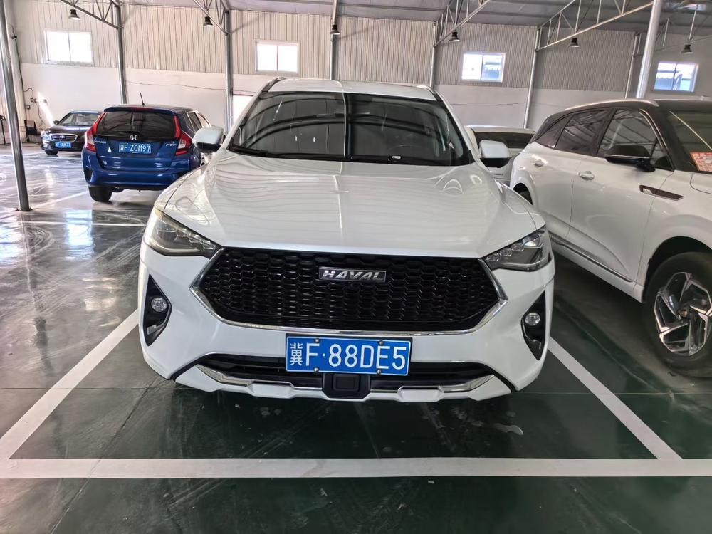 Haval F7 2019 — фото автомобиля