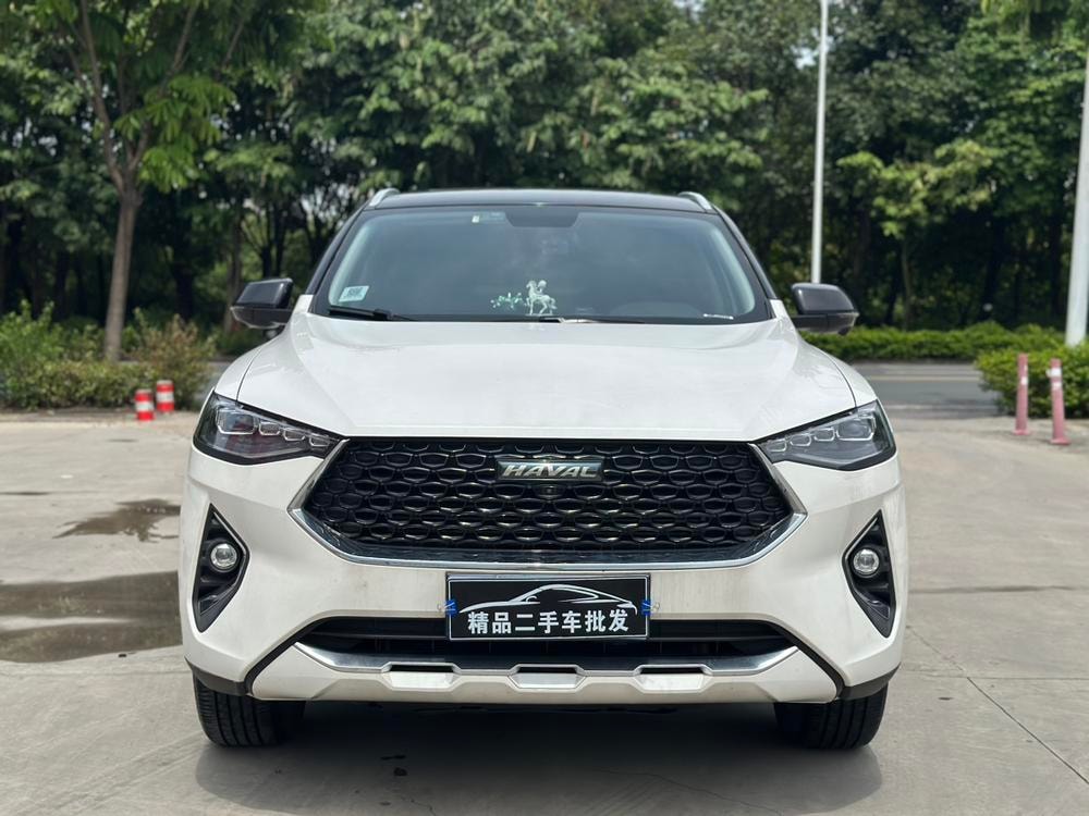 Haval F7x 2019 — фото автомобиля 1