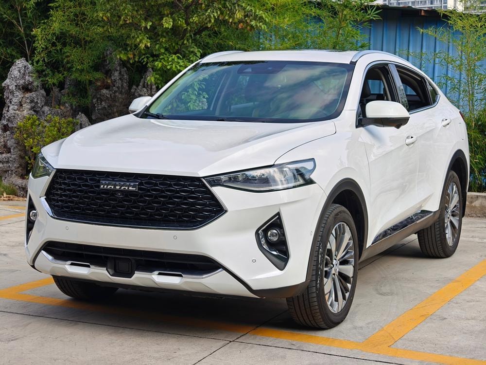 Haval F7x 2019 — фото автомобиля 1