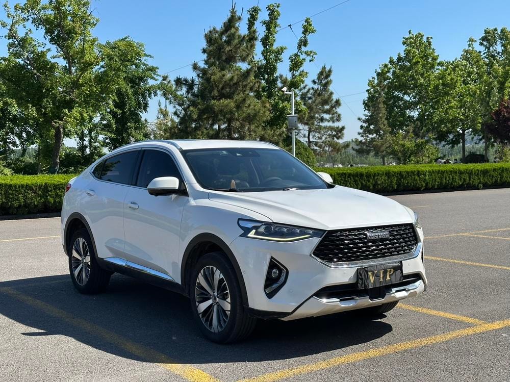 Haval F7x 2019 — фото автомобиля