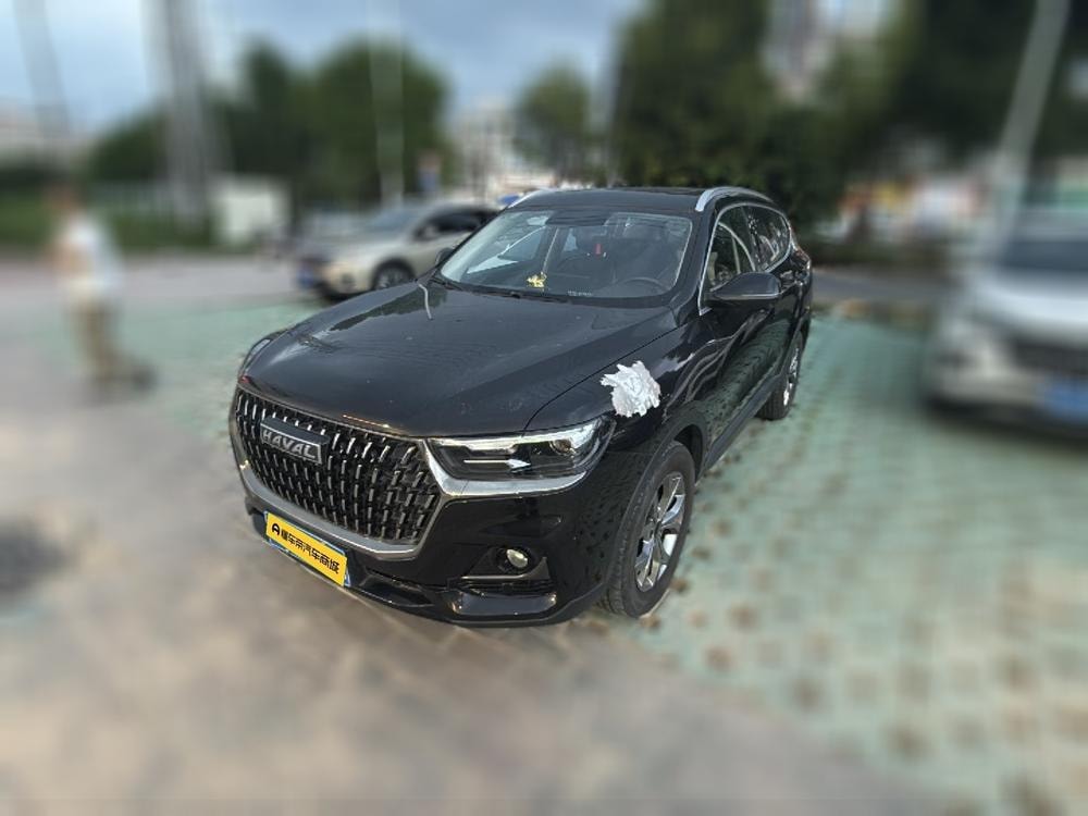 Haval H6 2021 — фото автомобиля