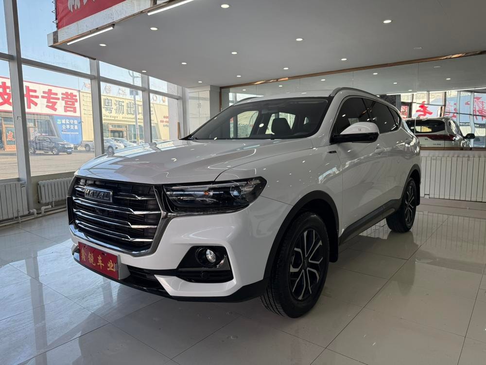 Haval H6 2021 — фото автомобиля